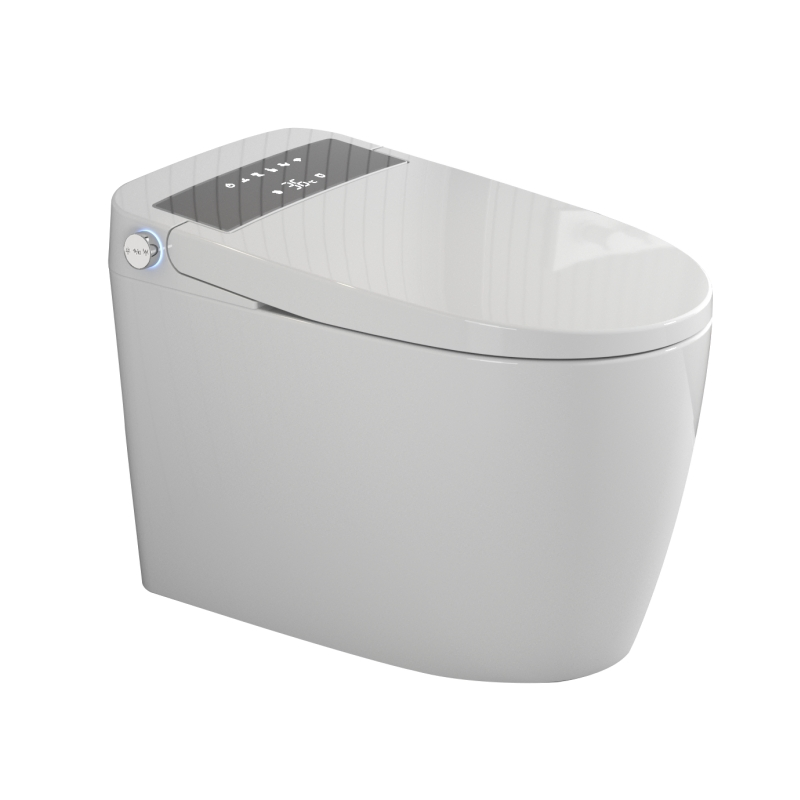 Fashionable Smart Toilet Ceramic Remote Control Intelligent Toilet Seat