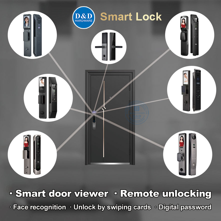 Biometric Fingerprint Digital Password Card Electronic Smart Door Locks with Remote Control