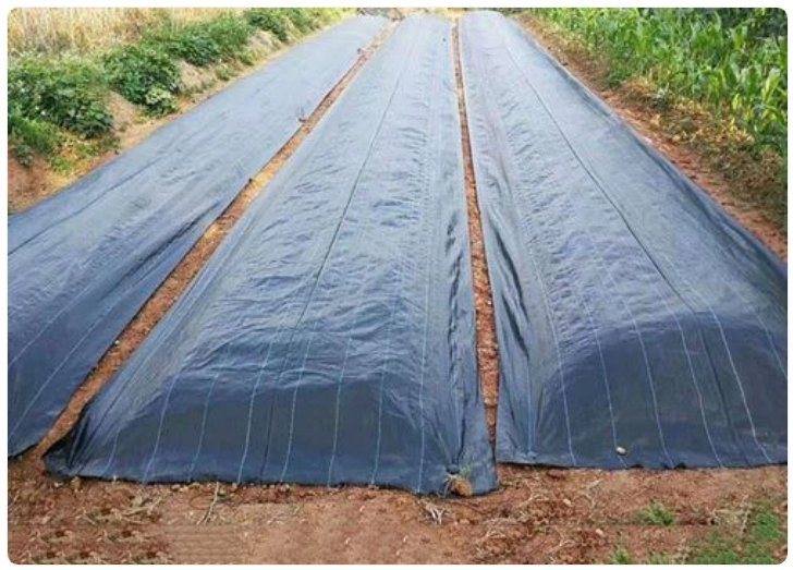 Agricultural Net/Dark Green Sun Shade Net for Agriculture Greenhouse Shade