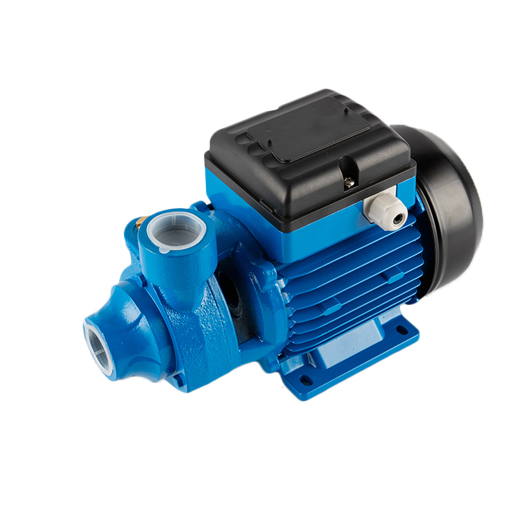 Booster Pumps Home Cast Iron Surface Bomba Qb60 Pm Electric Water Pump