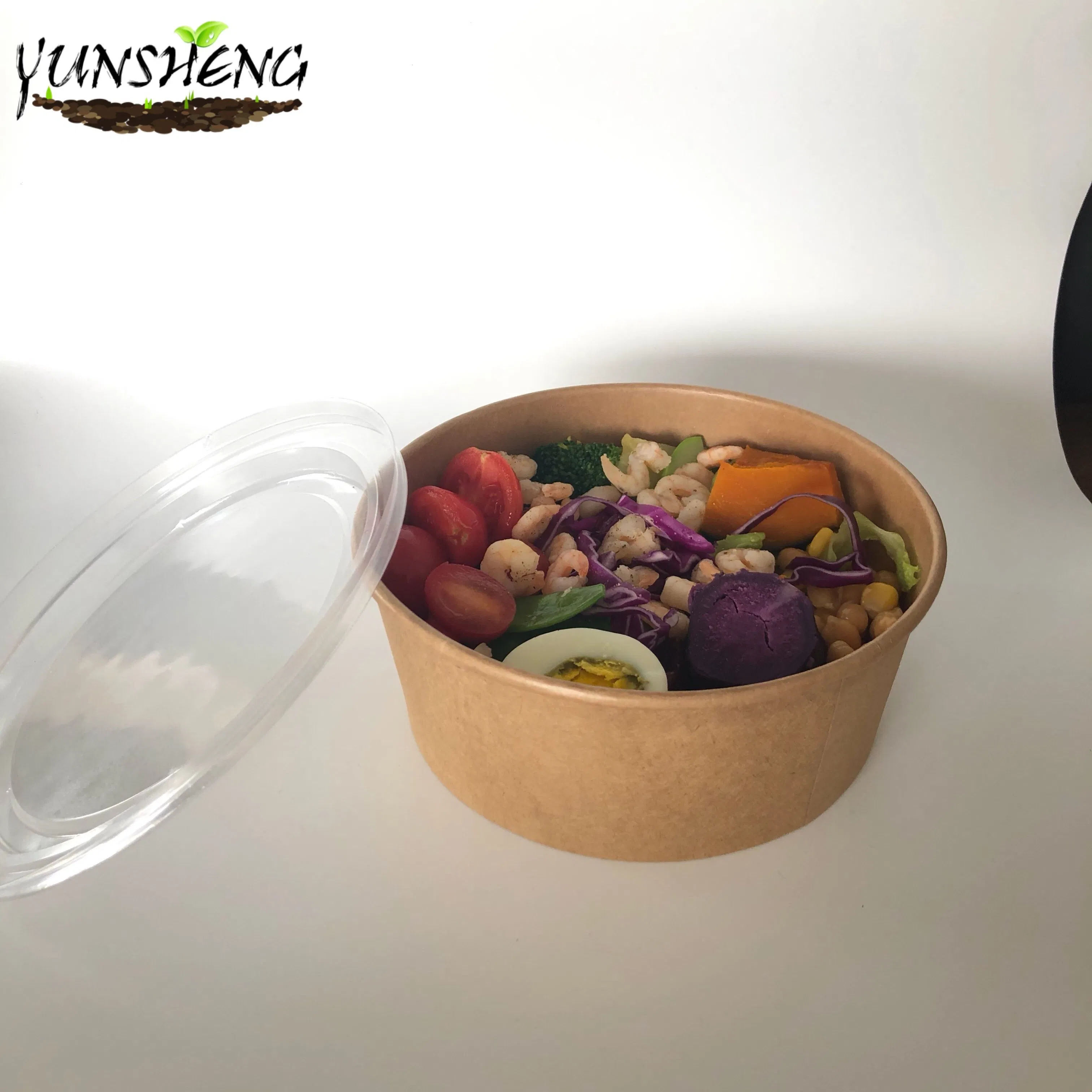 Wholesale Biodegradable Compostable Disposable Salad Bowl Kraft Food Packaging
