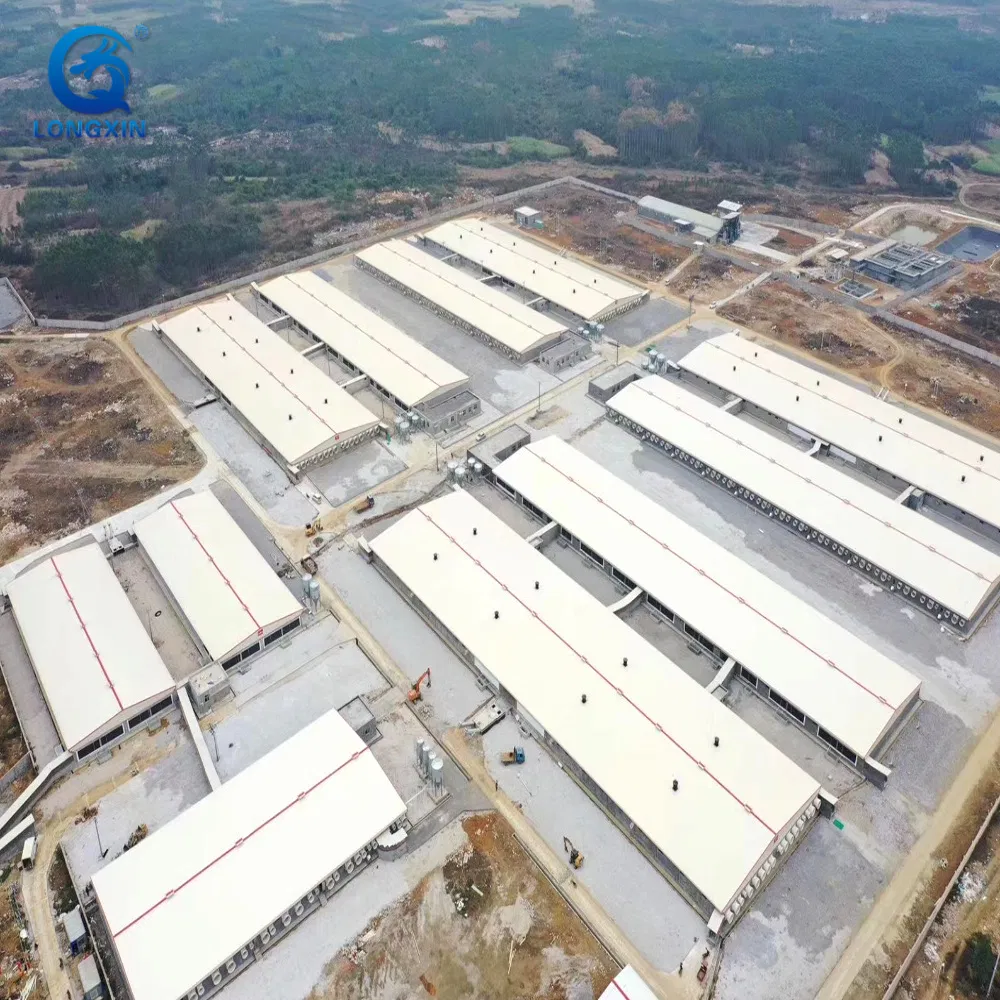Prefabricated Steel Structure Pig House Farm Pig Farrowing Crate Piggery Shed Pig Farm
