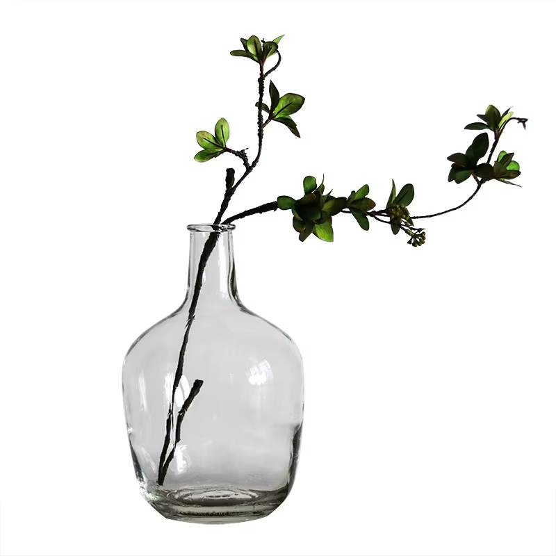 Big Belly Glass Vase Minimalist Transparent Glass Vase Home Decoration Floor Hydroponic Plant Glass Ornaments