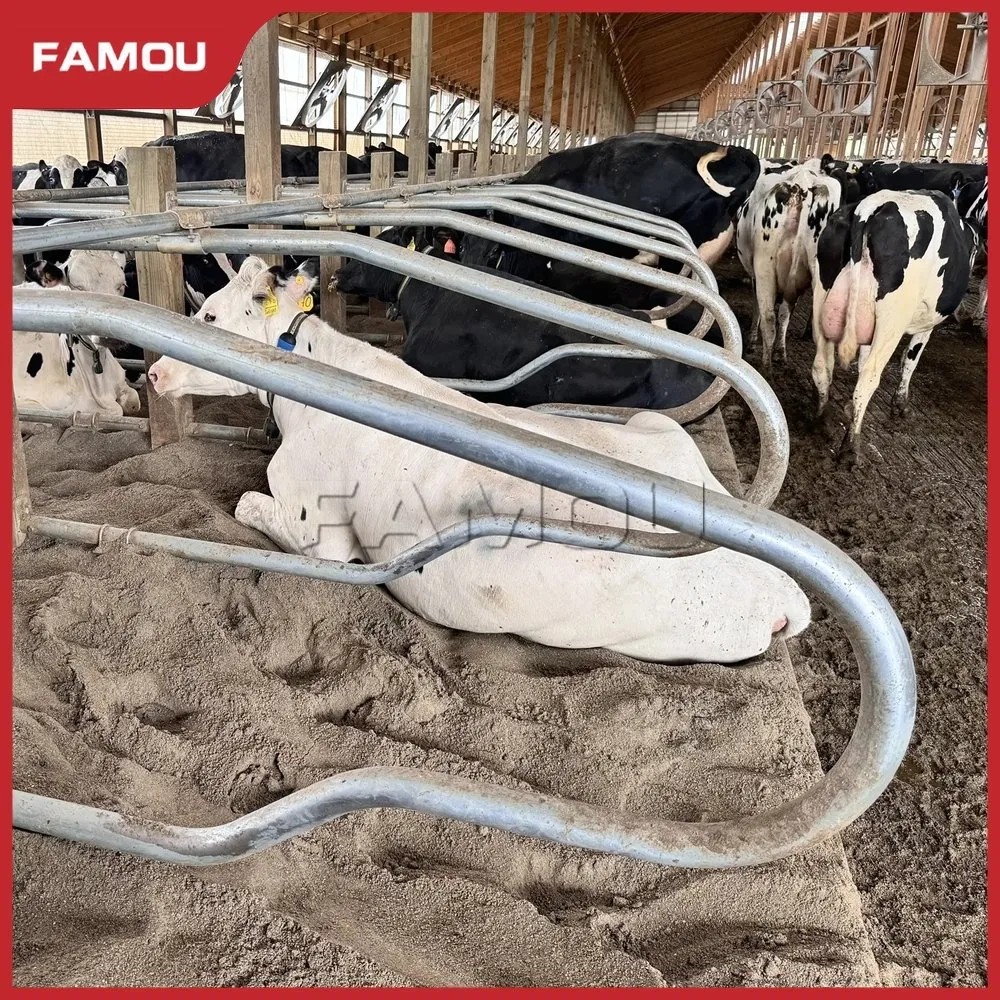 Galvanized Heavy-Duty Livestock Fence Utilization Galvanized Panels Cubicle Cow-Free Stall