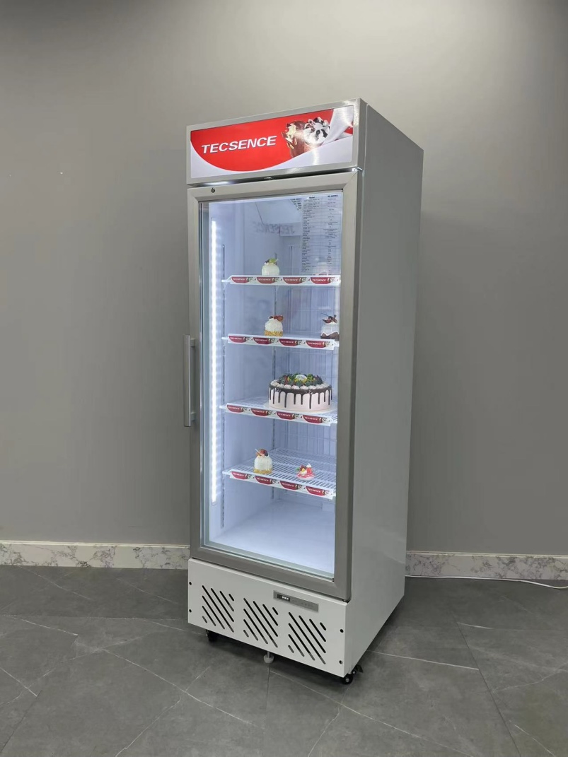 Single Glass Door Ice Cream Commercial Display Freezer