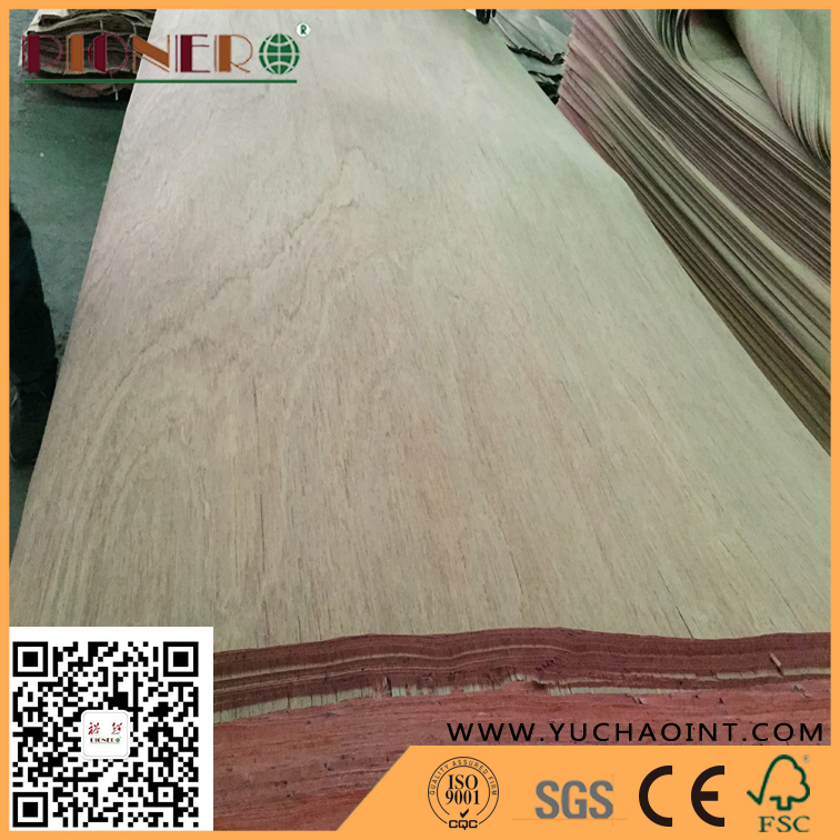 A Grade Rotary Cut Natural Gurjan/Keruing Veneer for India Market