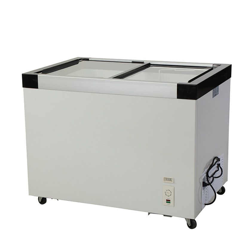 Deep Freezer Commercial Cooler Flat Glass Door Display Freezer Ice Cream Showcase Beverage Meat Chest Freezer Fridge Refrigerator for Home Wine Fridge