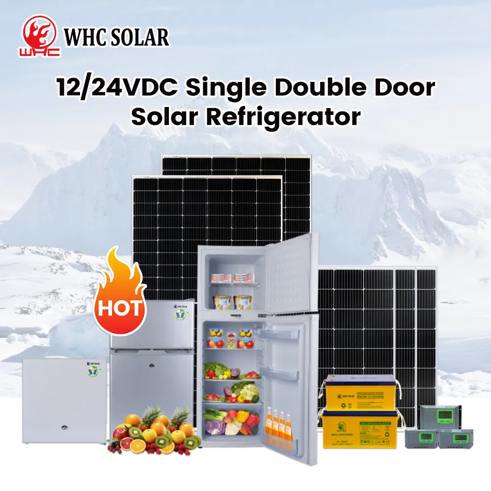 Whc Electric National Cold Equipment Home Hot Sale Fruit Vegetable Stainless Steel Upright Appliance 50L Frostfree Double Door Top-Freezer Refriger