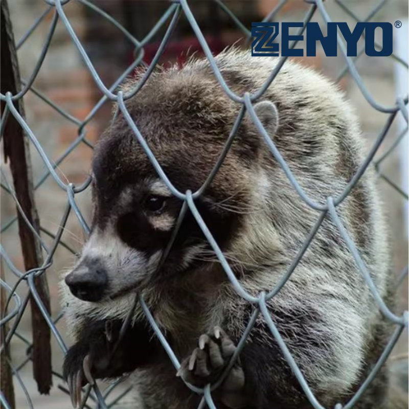 4FT 6FT 8FT Galvanized Chain Link Fence Mesh Slope Protection Animal & Football Court& Cyclone Wire Fence