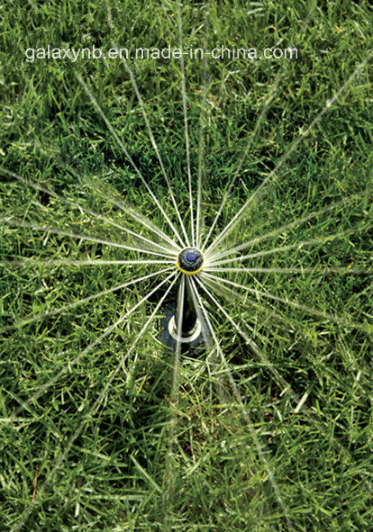 Durable Ray Sprinkler Nozzle for Garden Irrigation