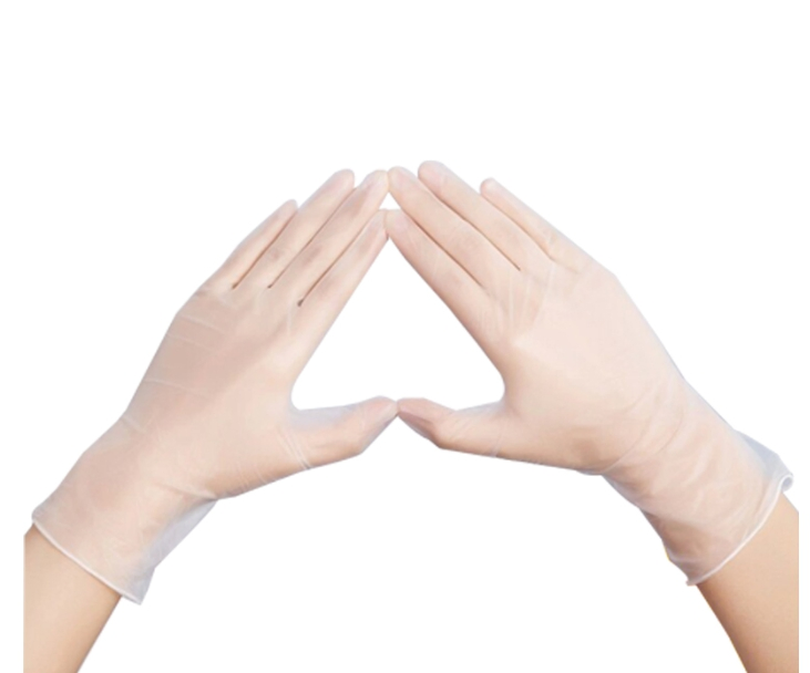 Disposable Factory  ISO Powder Free Transparent PVC Vinly Gloves