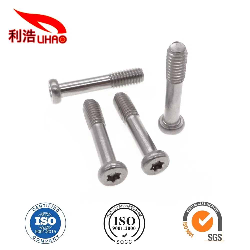 China Manufacturer Torx Flat Head Nonstandard Metal Machined Fasteners Screw