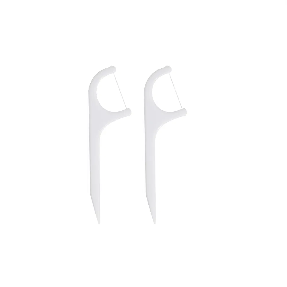 Af-115-1 Customized Bag Packing 2 in 1 Dental Flosspick Type-B