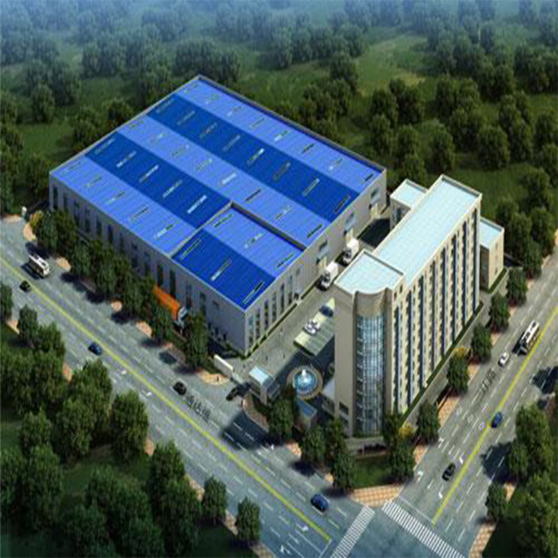 Steel Structure Prefabricated Building Water Workshop
