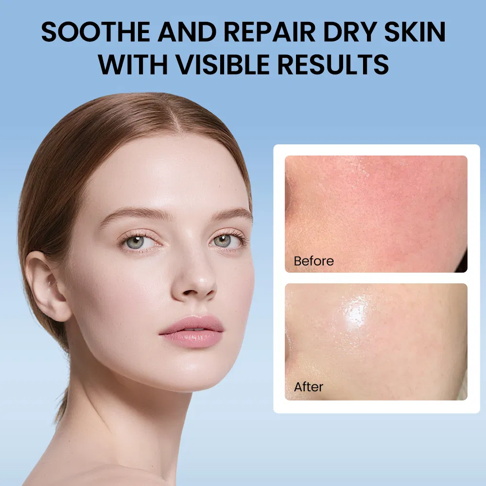 Private Label High Quality Whitening Anti Aging Wrinkles Protect Skin Barrier Ceramide Niacinamide Moisturizing Cream