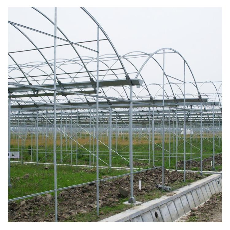 150mic -250 Mic Zigzag Vegetables Farden Warm Agro Multi Span Flower Greenhouses