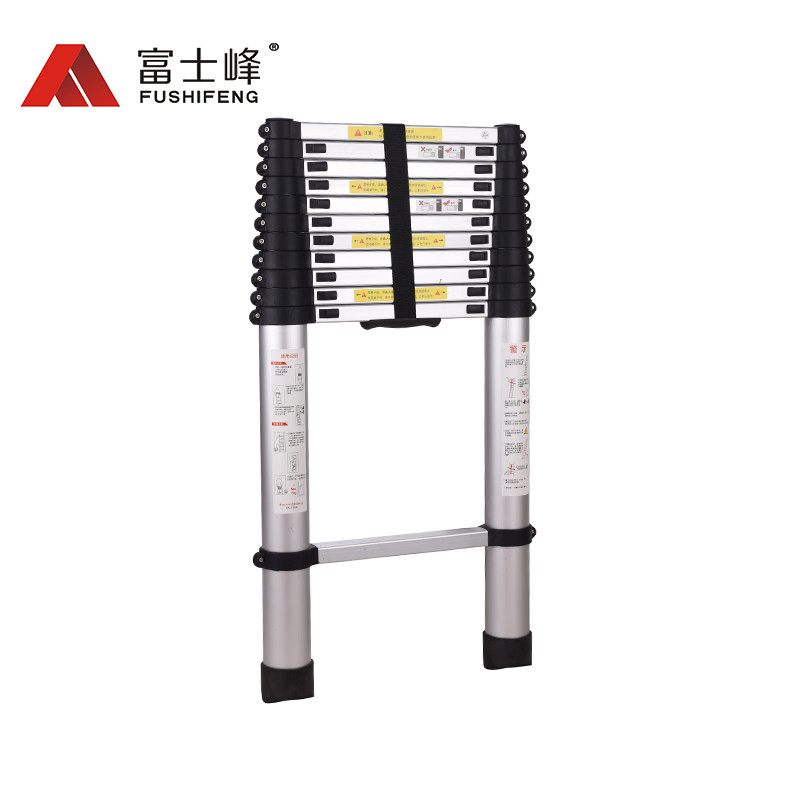 Aluminum Telescopic Ladder with 10 Steps