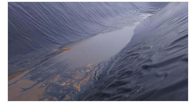 0.2-3.0mm Waterproof Geo Membrane Swim Pool Fish Pond Farm Liner HDPE Geomembrane