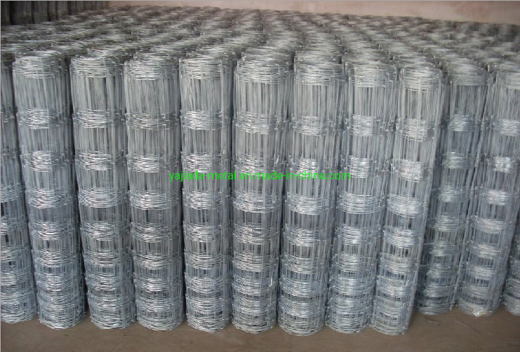 Cattle Fence Filed Fence