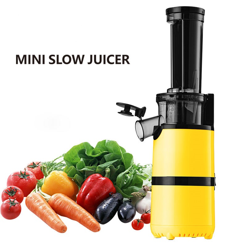 Slow Juicer Fruit and Vegetable Juicer