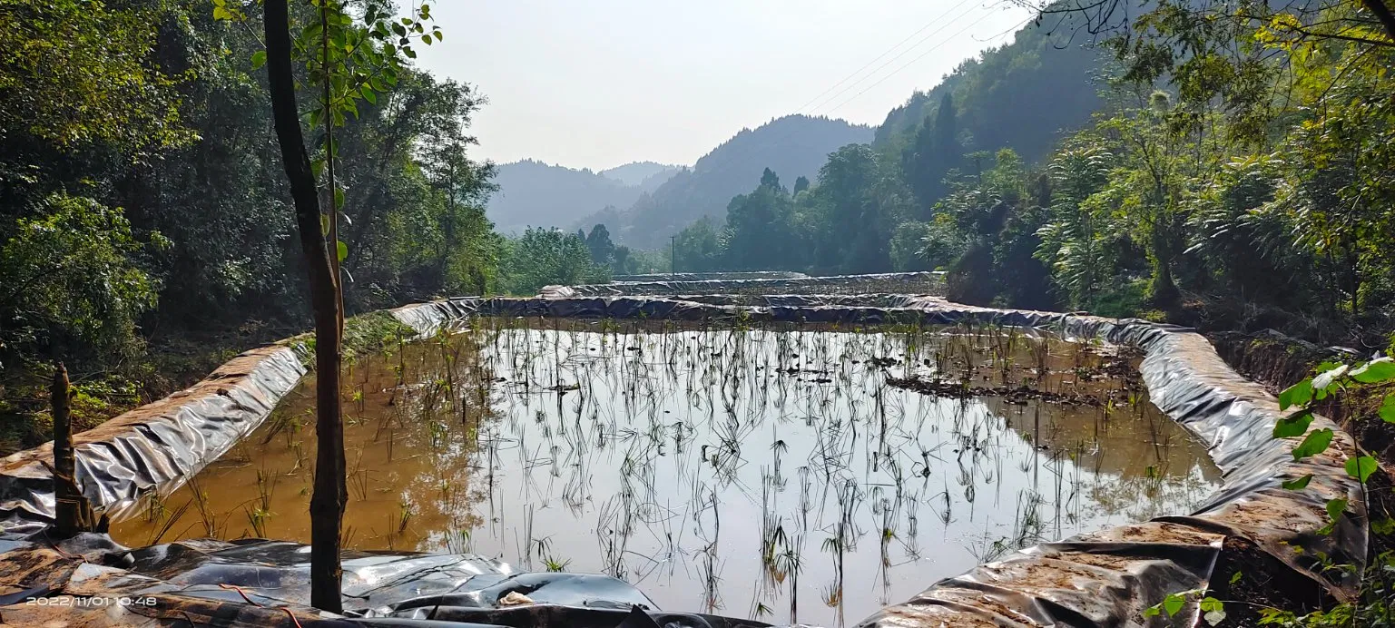 HDPE Geomembrane Reinforced Polyethylene Fish Pond Liner Geomembrane 0.75mm 1.5mm Geo Membrane 45mil 60mil Artificial Lake Liner