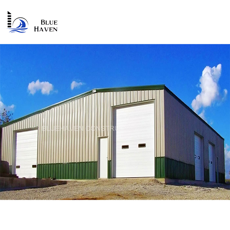 Steel Frame Portable Design Steel Carport Canopy Design/Garge