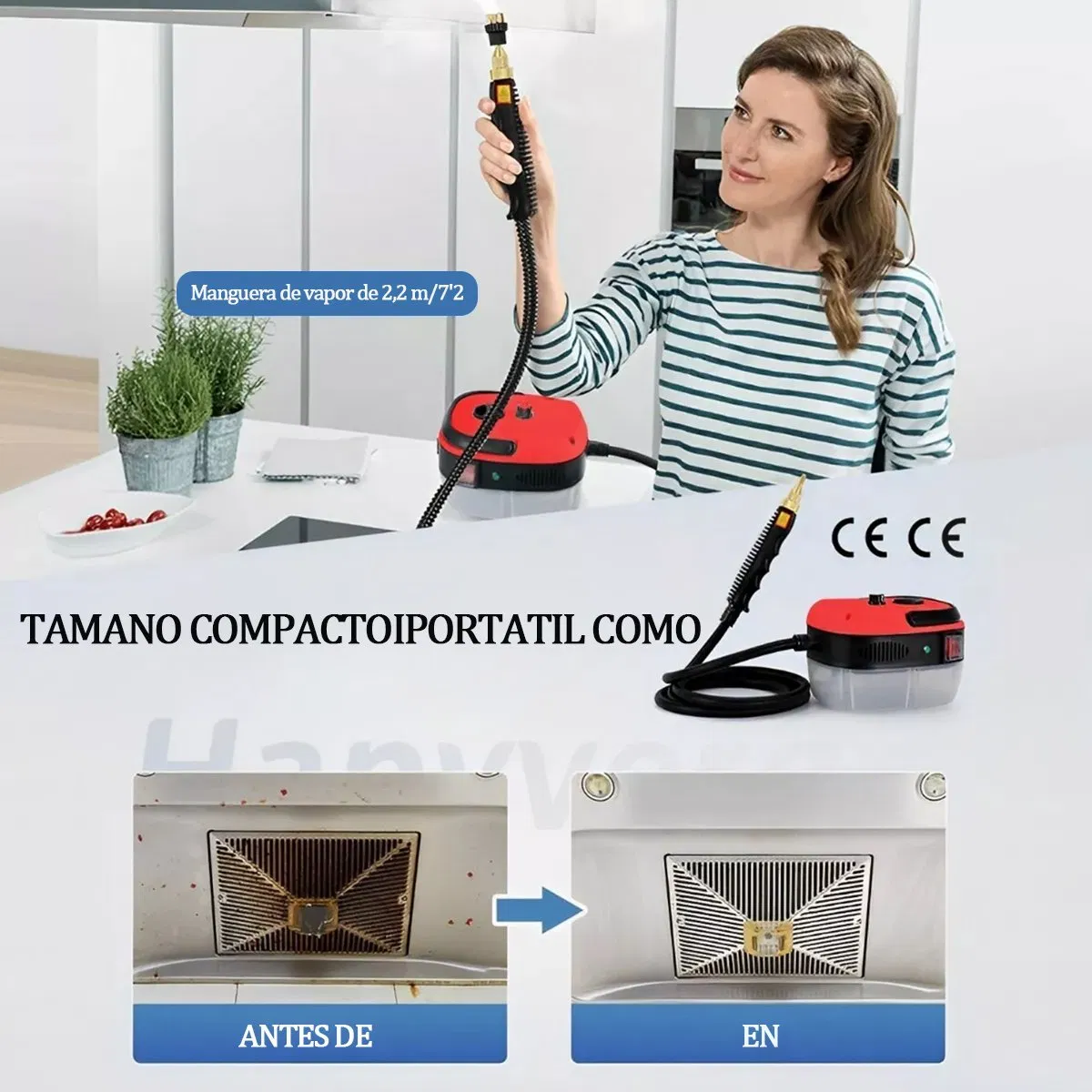 High Pressure Steam Cleaner Free Shipping to Mexico City