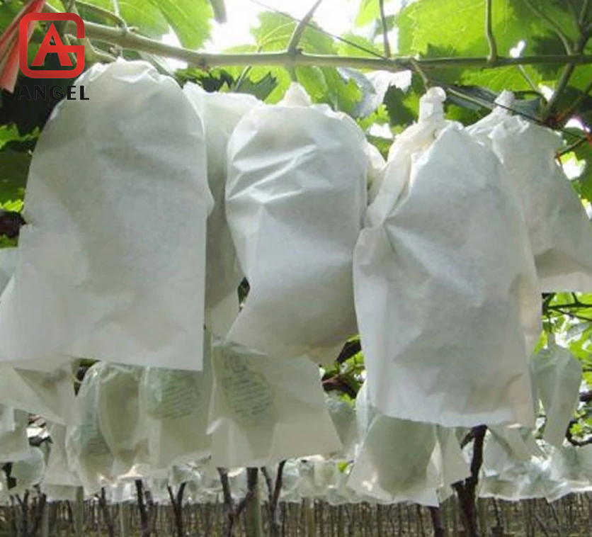 Wholesale Agricultural PP Nonwoven Fabric Protective Bag for Fruit
