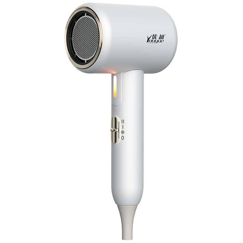 High Power Home Hair Dryer Thermostatic Material Foldable Negative Hairdryer