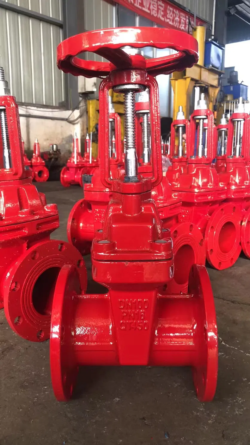 China Manufacturer Cast Iron Cast Steel Resilient Seated Rising Stem Wedge Gate Valve