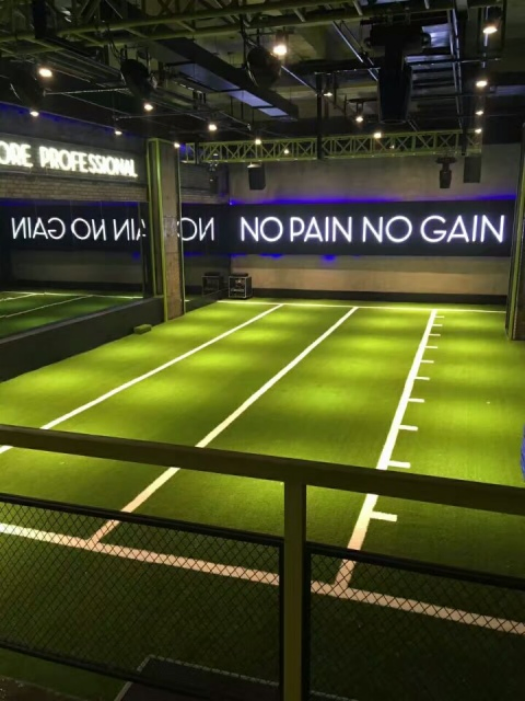 Anti-Slip Gym Turf for Gymnasium Home