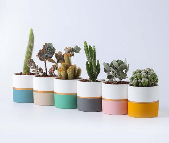 Набор горшков керамических скандинавский стиль золотая окантовка 2 шт