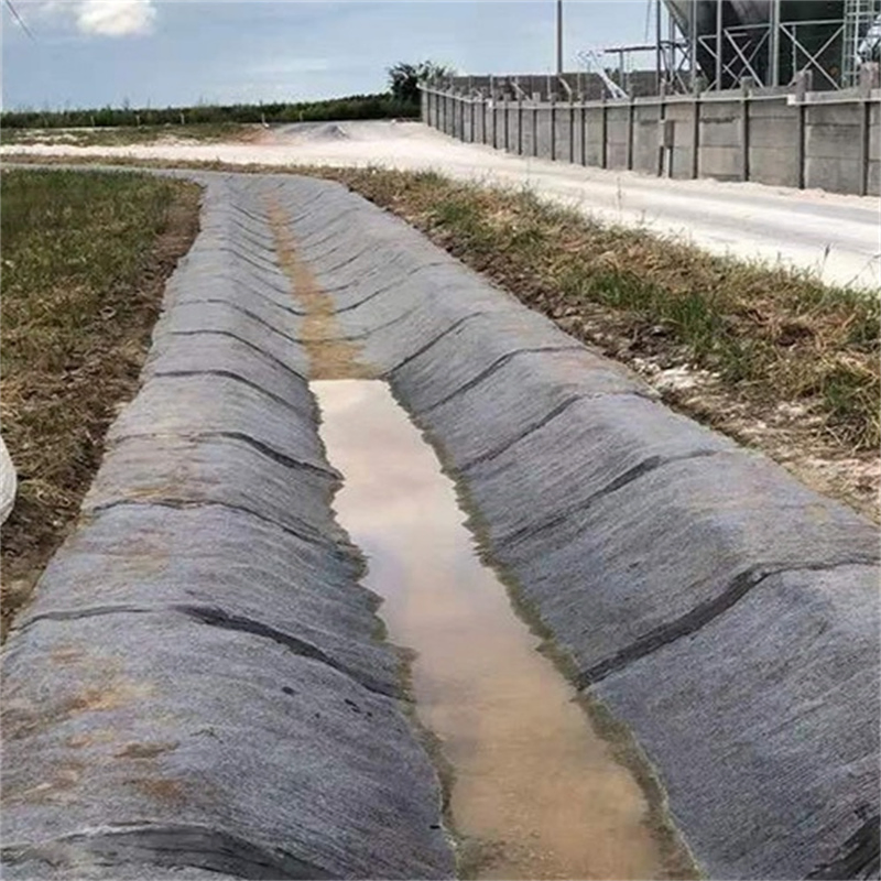 Slope Stabilization with Cement Blanket