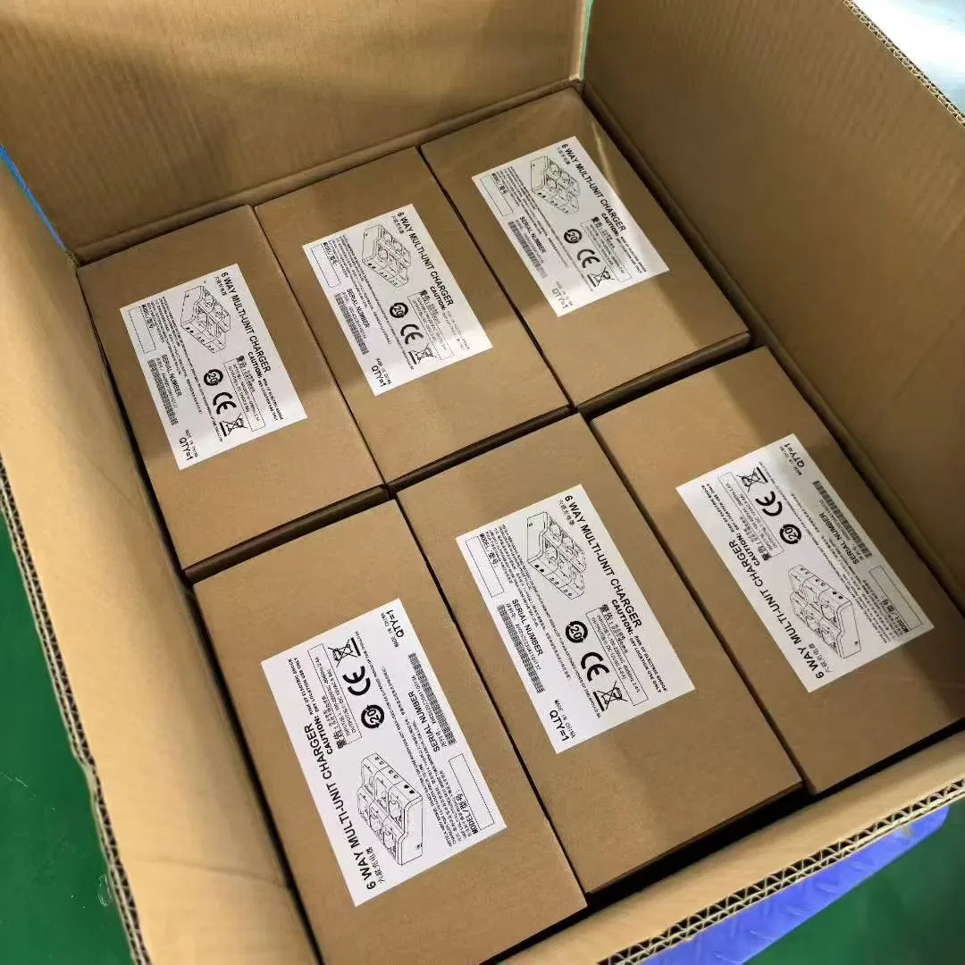 Зарядное устройство DMC-6 на 6 каналов с USB-портами