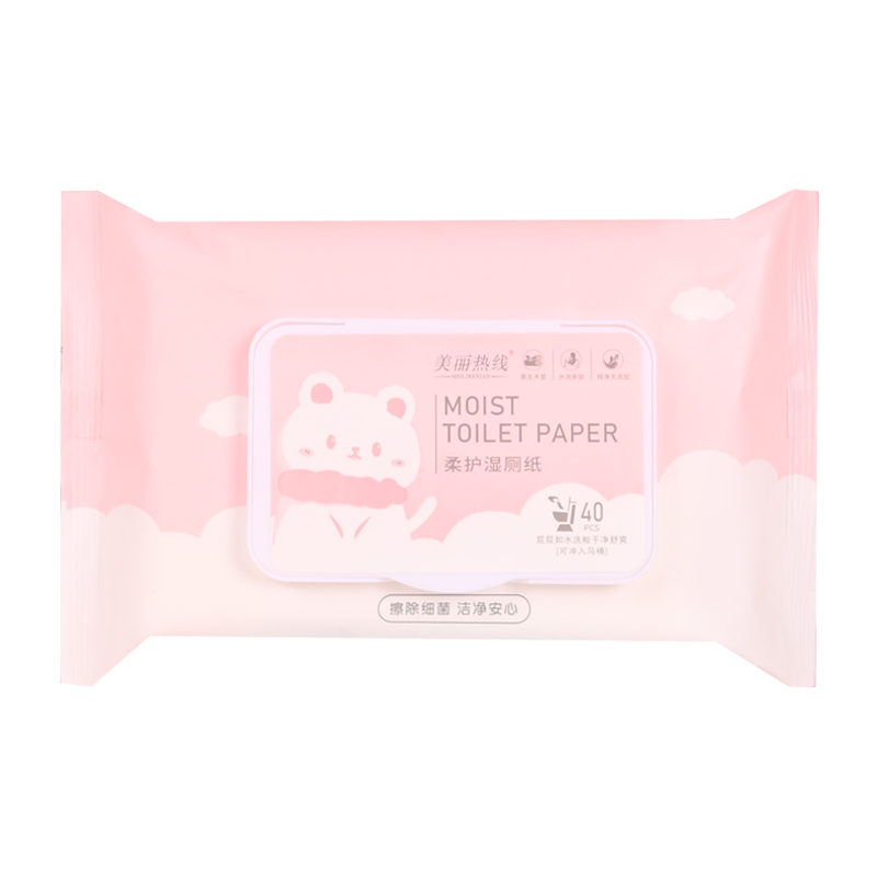 Flushable Toilet Wipes with Custom Logo and Tailored Packaging Solutions