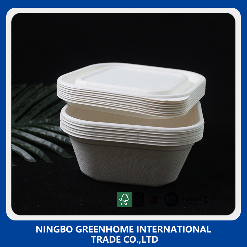 Biodegradable Compostable Dinner Set Sugarcane Bagasse Lunch Box