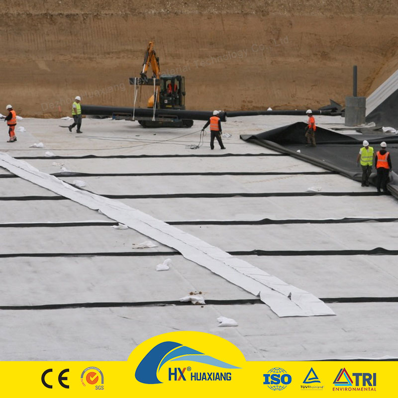 Two Textile One Membrane PE Composite Geomembrane Used in Anti-Seepage