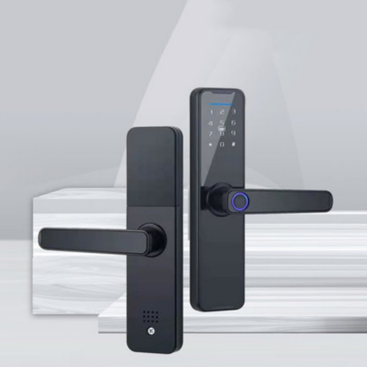 Handle Typle One Fingerprint Unlock Smart Lock