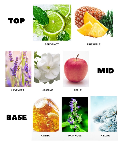 Туалетная вода Explore Noir для мужчин, 100 мл