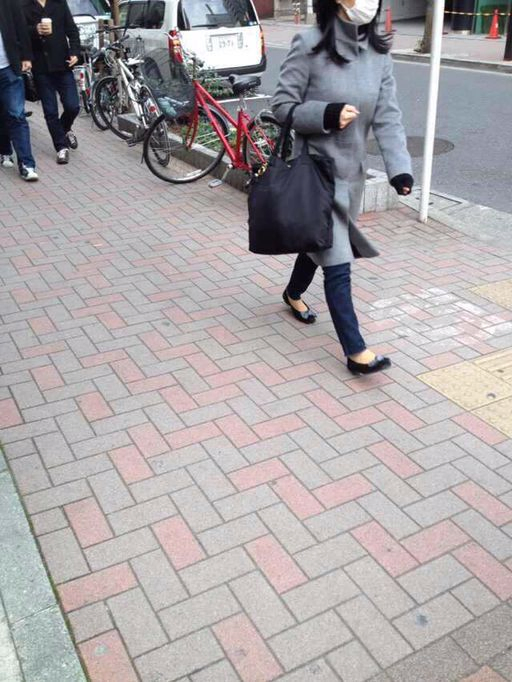 Environmental Resource Forest Top Quality Paving Bricks