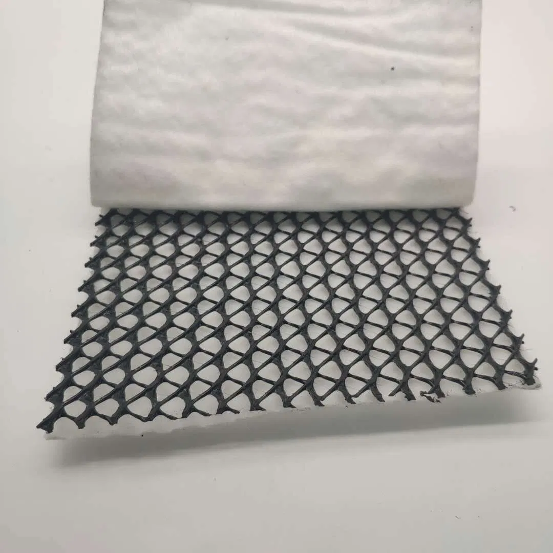 HDPE Composite Geonet for Road Construction Filtration Network Drainage