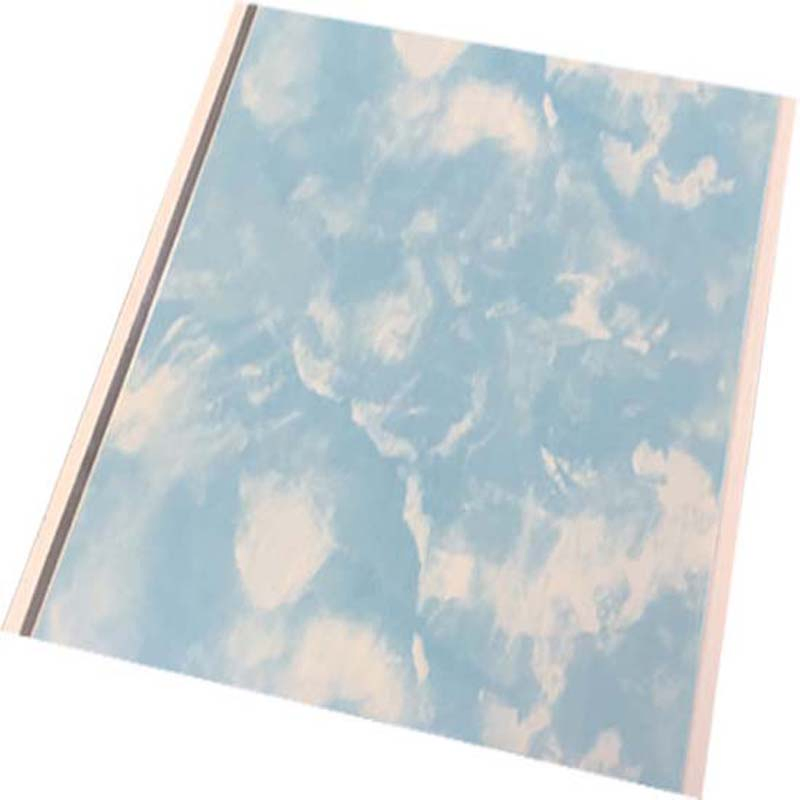 250mmx5mm Printing PVC Panel PVC Ceiling PVC Wall Panel