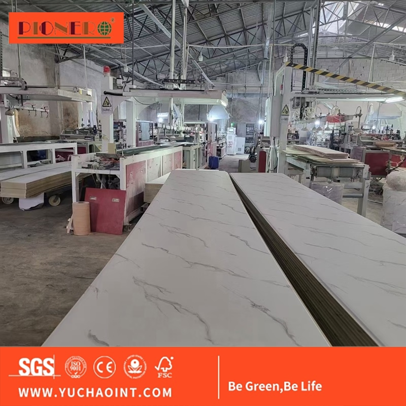 Home Interior Decoration Laminated PVC Wall Panel PVC Ceiling