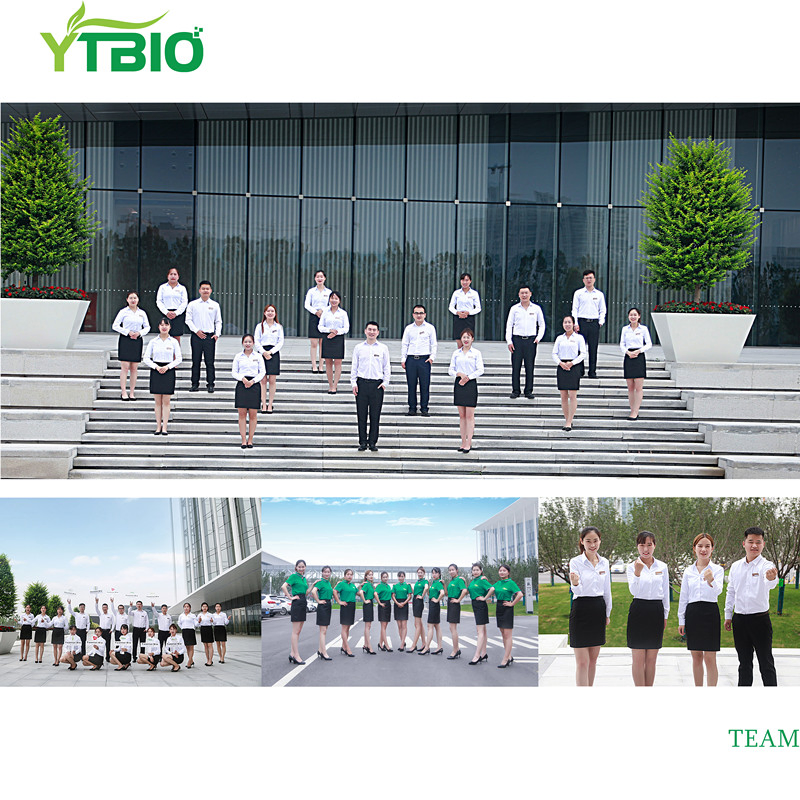 Jojoba Oil Repair and Jojoba Extract Oil Jojoba Essence Oil