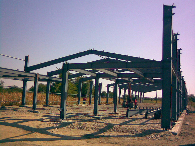 Prefab Large Span Steel Structure Frame Workshop (DG2-004)