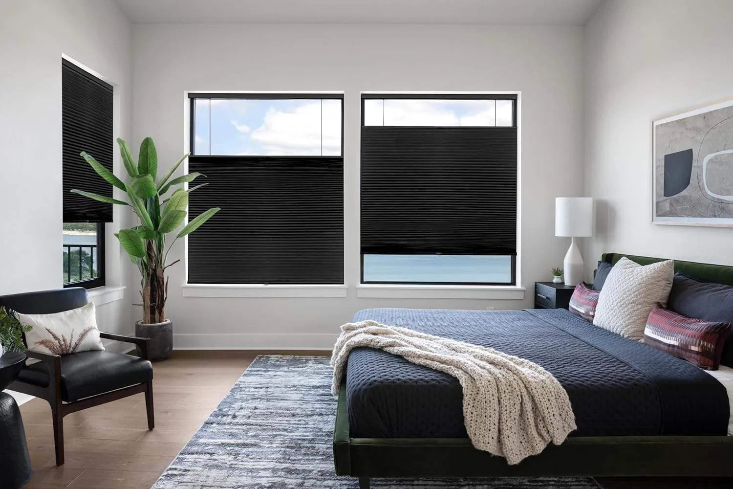 Day and Night Semi-Sheer Roll-up Honeycomb Pleated Blinds