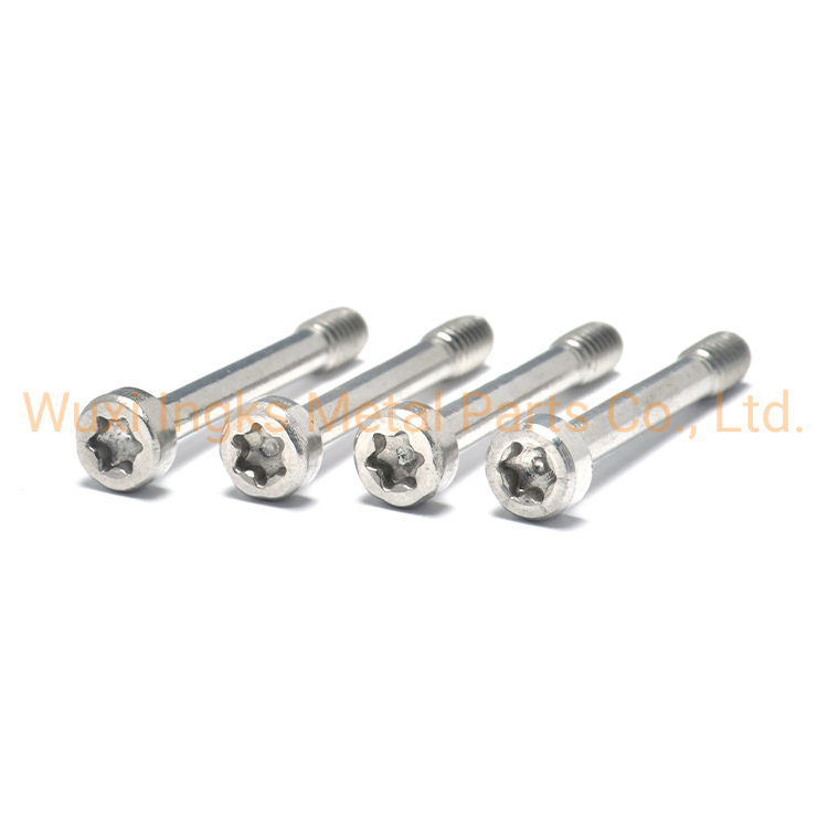 DIN912 Torx Socket Stainless Steel Inox Cheese Head Captive Screw