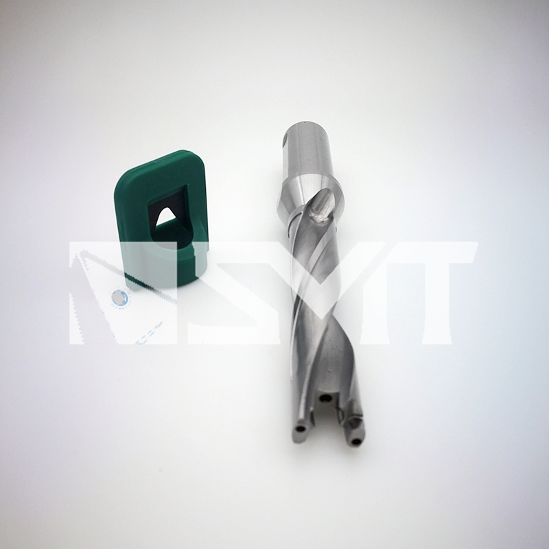 Drilling-Head Exchangeable Drill Body-Qd170-179-20-5D-Ca