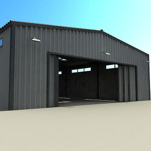 Steel Garden Shed/Poultry Shed/Prefab Steel Shed (DG6-020)