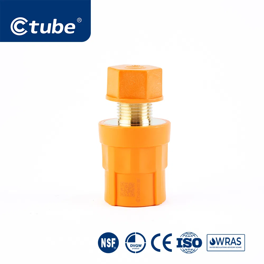 Ctube PPR Female Threaded Cap Chemical Resistant Pipe Fitting Solution